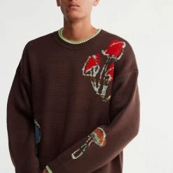 Hot Sale 😀 Urban Outfitters Men's UO Graphic Crew Neck Sweater Brown ⭐
