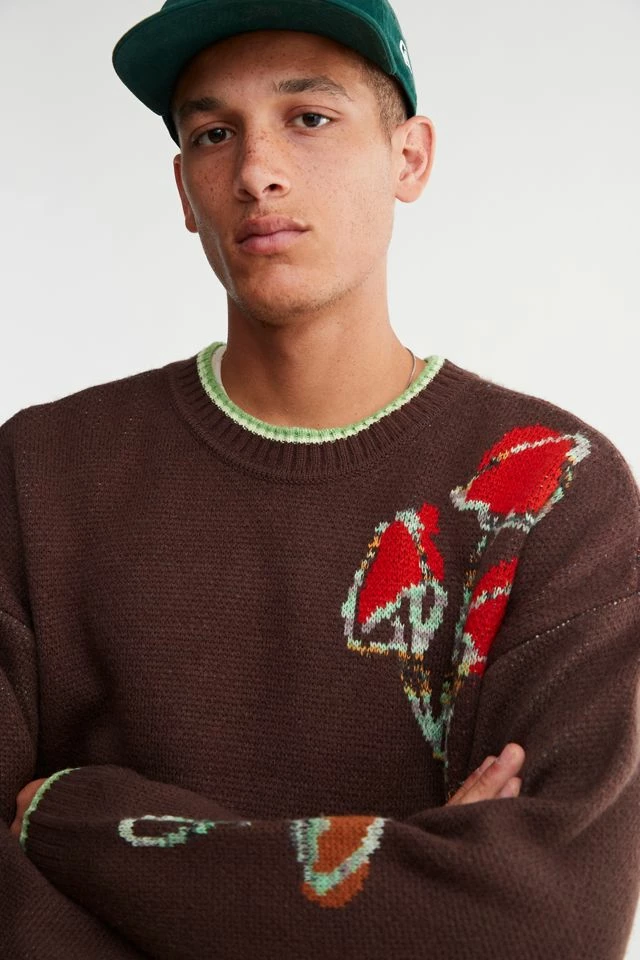 Hot Sale ๐ Urban Outfitters Men's UO Graphic Crew Neck Sweater Brown โญ - Image 4